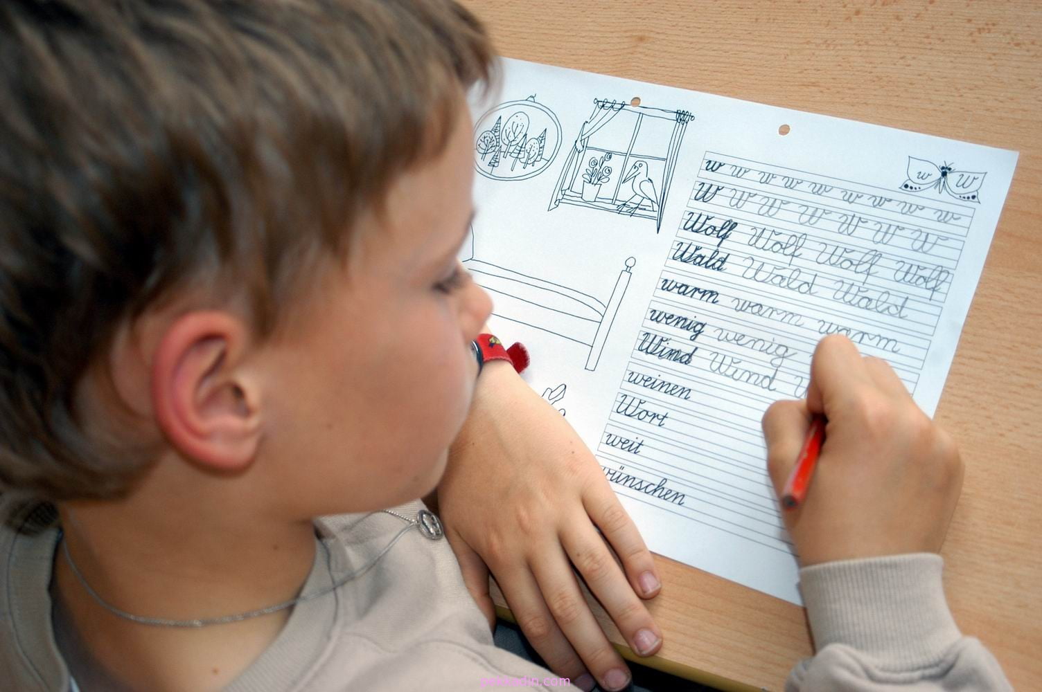 Öğrenme Güçlüğü Destek Programları 1 ozel ogrenme guclugu